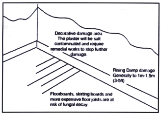 Signs of damp problems