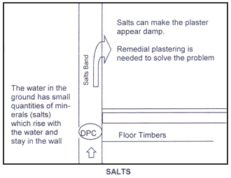 Rising Damp
