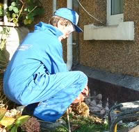 Treatment of Rising Damp